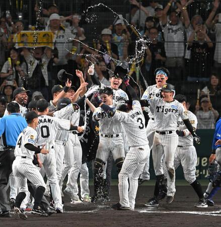 １１回、大山のサヨナラ弾に歓喜する阪神ナイン（撮影・飯室逸平）