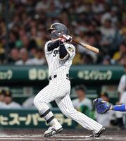 ６回、左前打を放つ坂本（撮影・山口登）