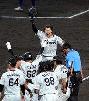 １１回、サヨナラソロを放ち生還する大山（撮影・山口登）