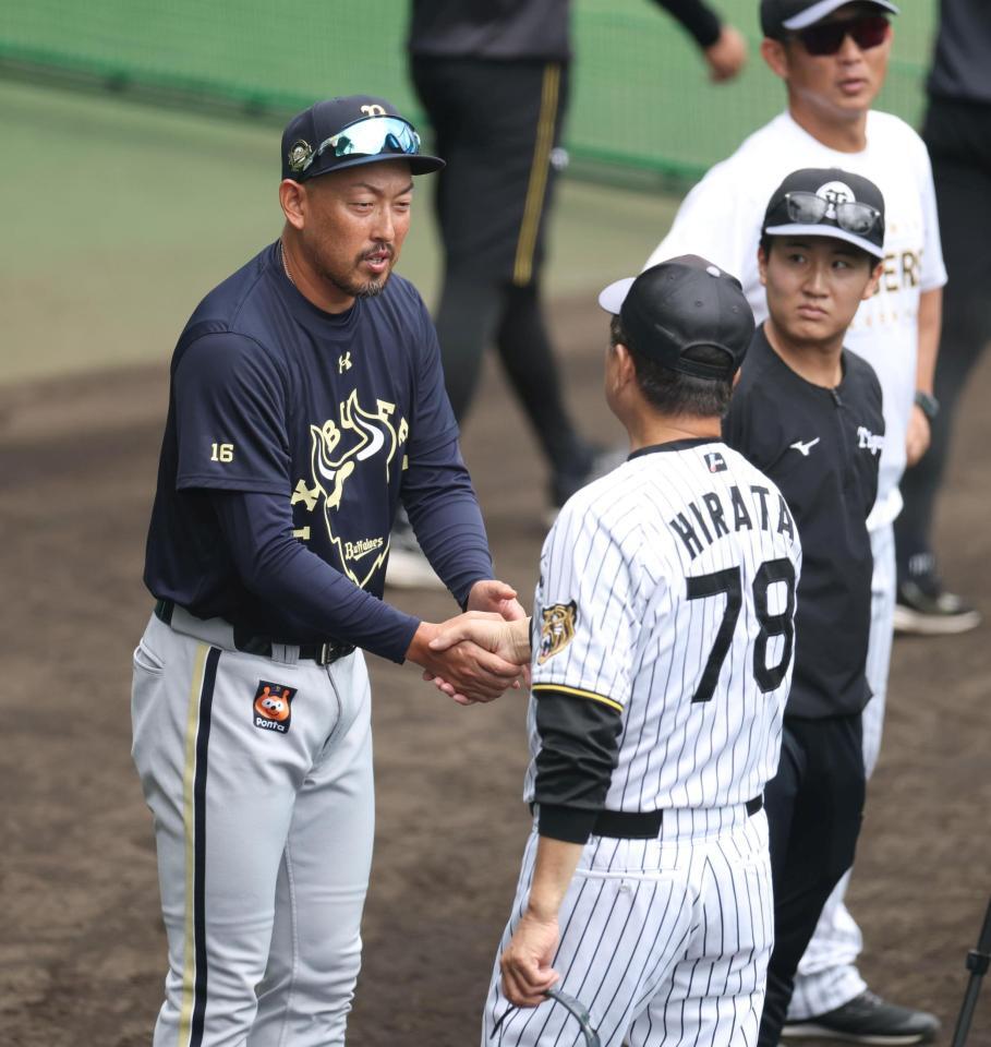 平田２軍監督（右）と握手を交わす平野投手兼任コーチ（撮影・中田匡峻）