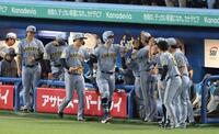 １回、右越えに２ランを放ちナインに迎えられる佐藤輝（撮影・金田祐二）