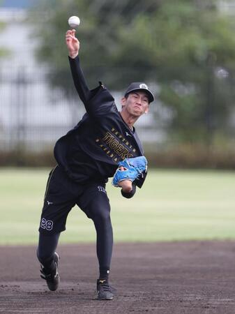 キャッチボールをする今朝丸（撮影・中田匡峻）