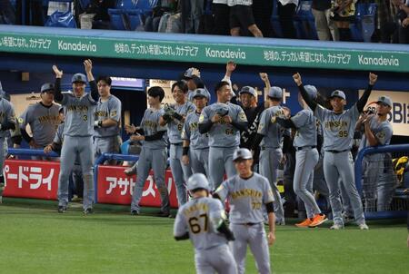 延長１１回、高寺の勝ち越し２ランに盛り上がる阪神ナイン（撮影・金田祐二）