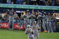 延長１１回、高寺の勝ち越し２ランに盛り上がる阪神ナイン（撮影・金田祐二）