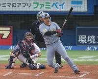 ６回、左前に先制適時打を放つ大山（撮影・金田祐二）