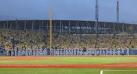神宮での今季最終戦を終え、レフトスタンドにあいさつする阪神ナイン（撮影・西岡正）