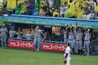 ６回、伏見の走者一掃の適時二塁打で盛り上がる阪神ベンチ（撮影・金田祐二）