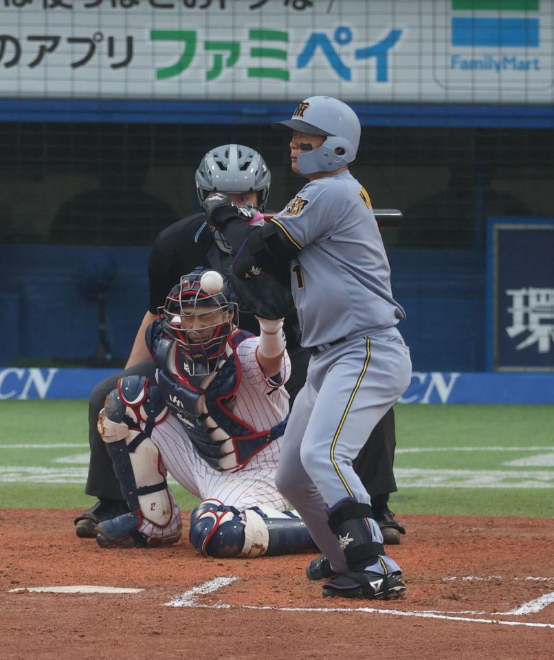 ６回、死球を受ける森下（撮影・金田祐二）