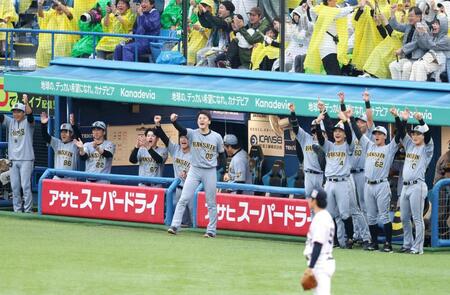 　盛り上がる阪神ベンチ（撮影・金田祐二）