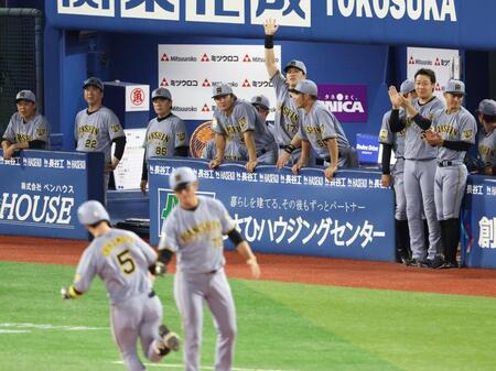 ３回、近本の先制ソロに笑顔の阪神ナイン（撮影・金田祐二）