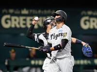 ７回、代打の西純は空振り三振に倒れる（撮影・山口登）