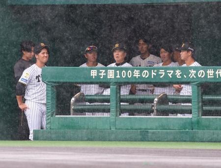 試合前に雨が強まり、ベンチから様子をうかがう平田２軍監督（中央）ら阪神ナイン（撮影・立川洋一郎）