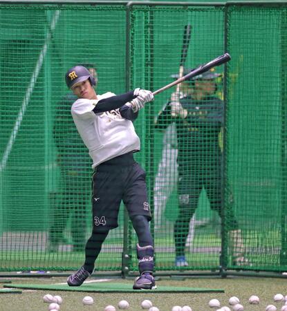 フリー打撃で打ち込む岡城（撮影・立川洋一郎）