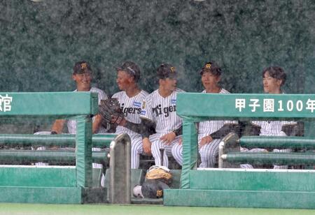 雨が降り続きベンチで談笑しながら天候の回復を待つ立石（左端）ら阪神ナイン（撮影・立川洋一郎）