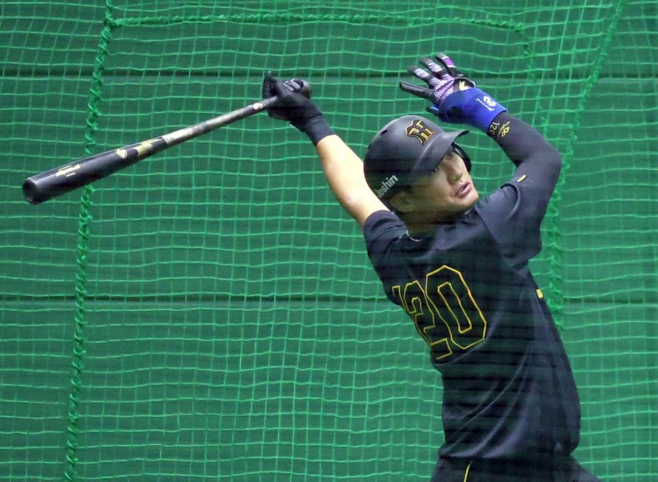 打撃練習をする西純（撮影・山口登）