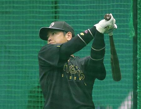 打撃練習をする梅野（撮影・西田忠信）
