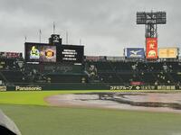 雨のため試合時間が遅延となる（撮影・田中太一）