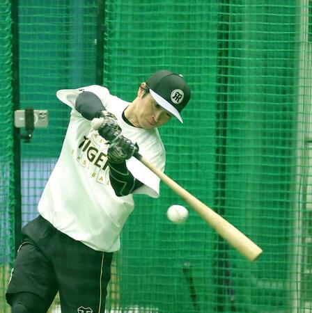 室内で打撃練習をする近本（撮影・西田忠信）