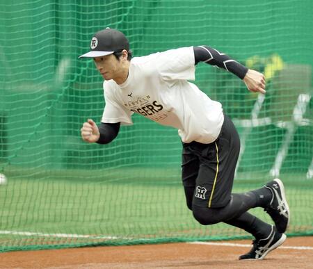 ダッシュを繰り返す近本（撮影・田中太一）