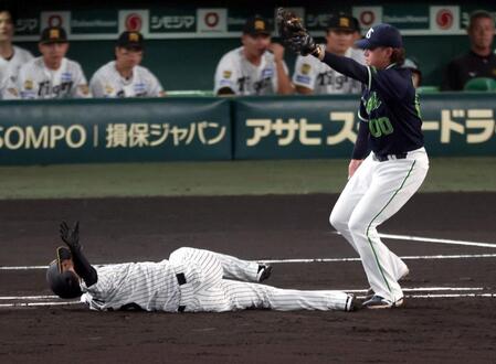 １回、近本はけん制でタッチアウトになる（撮影・山口登）