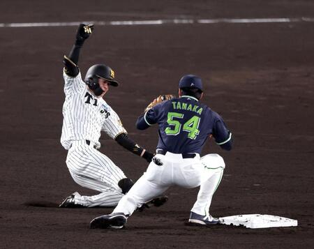 １回、左前打を放った中野は、ヤクルトの守備が乱れ二塁を狙うもタッチアウトになる（撮影・山口登）