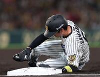 １回、けん制アウトになる近本（撮影・西田忠信）