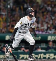 ８回、２ランを放つ佐藤輝（撮影・西田忠信）