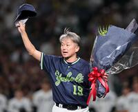 今季限りで引退する石川は甲子園の声援に応える（撮影・田中太一）