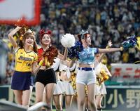 甲子園を盛り上げた台湾チア（撮影・西田忠信）