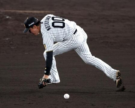 ８回、元山はリチャードの打球を捕球できず中前打となる（撮影・山口登）