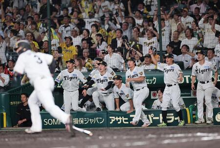 １１回、大山の強烈な打球でベンチから飛び出すナイン（撮影・田中太一）