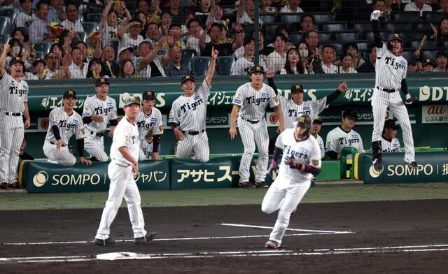 阪神　大山19号ソロに喜び爆発のナイン