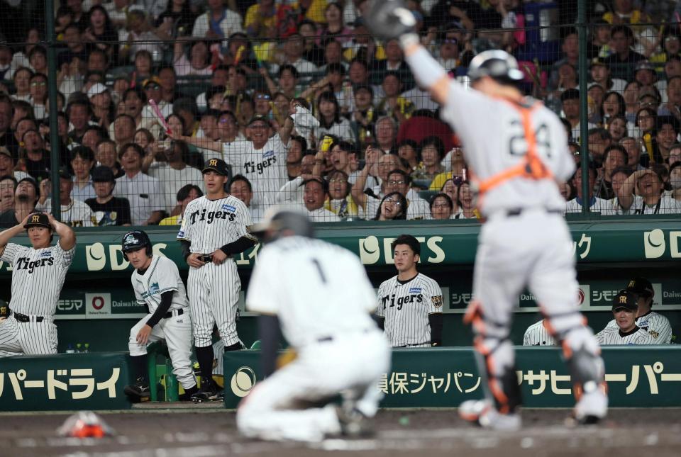 ３回、森下（手前）が本塁で憤死、得点ならず。ベンチでがっくりするナイン（撮影・田中太一）