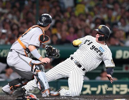 ３回、大山の左飛で本塁を狙うもアウトになる森下（撮影・西田忠信）