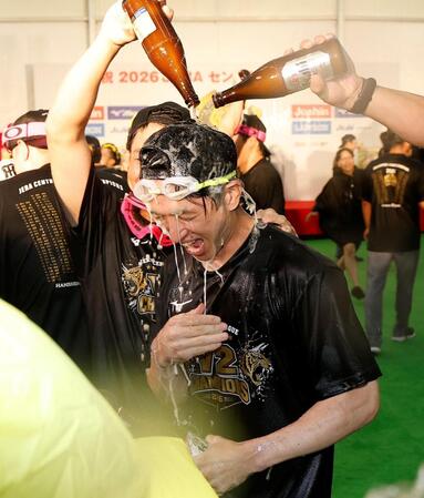 ビールを浴びせられる近本（撮影・西田忠信）