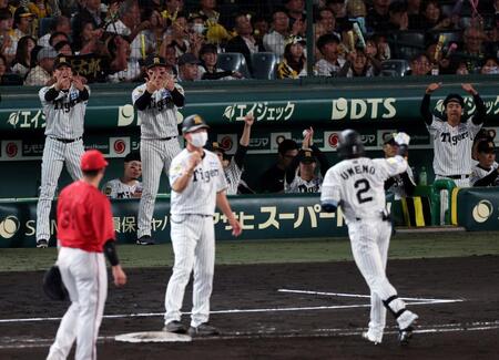 ６回、梅野の適時打にベンチを出て喜ぶ元山と森下（撮影・山口登）