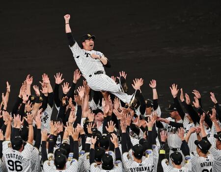 ナインから胴上げされる藤川監督（撮影・田中太一）