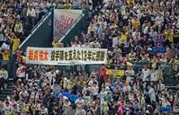 岩貞に声援を送る右翼スタンドの阪神ファン（撮影・立川洋一郎）
