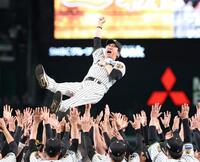 リーグ連覇を達成し胴上げされる藤川監督（撮影・西田忠信）