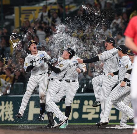 １１回、サヨナラ適時打を放ちナインかから手荒く祝福される梅野（撮影・山口登）
