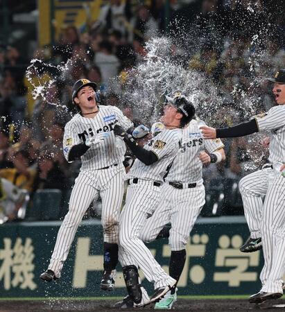 １１回、サヨナラ打を放ちナインから祝福される梅野（撮影・山口登）