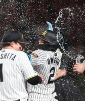 １１回、サヨナラ内野安打を放ち祝福される梅野（撮影・西田忠信）