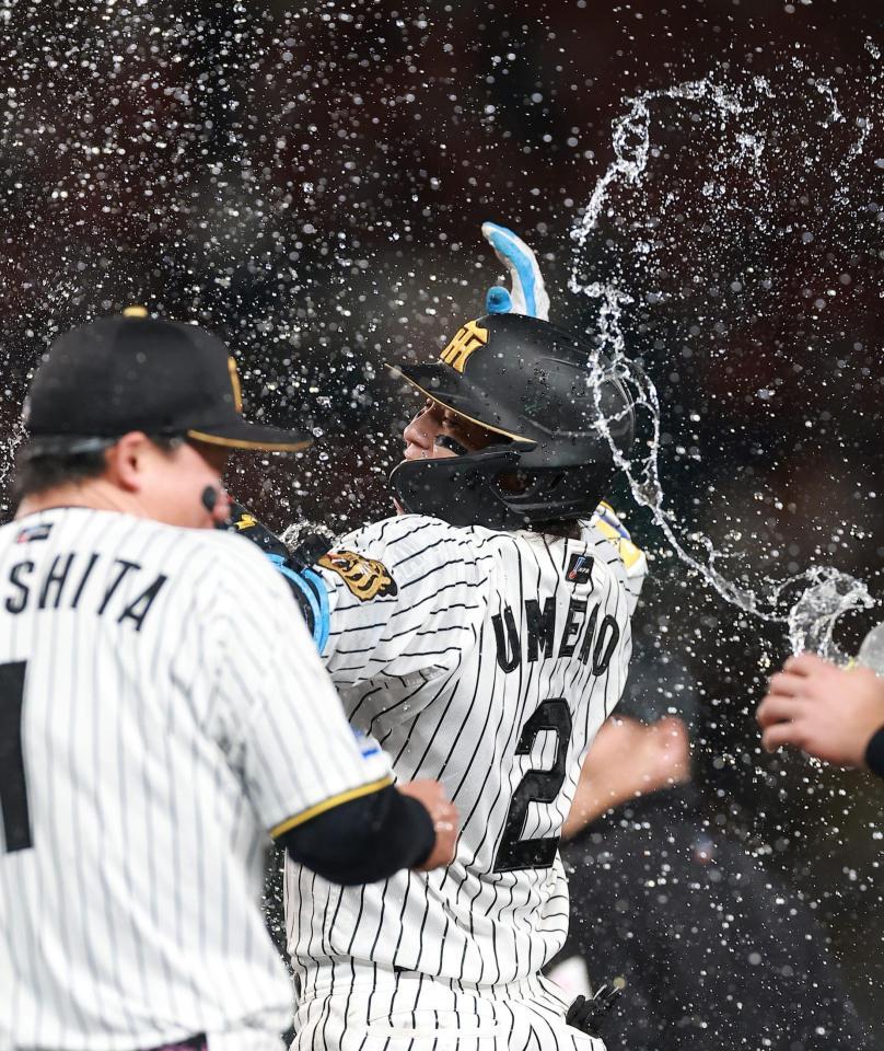１１回、サヨナラ内野安打を放ち祝福される梅野（撮影・西田忠信）