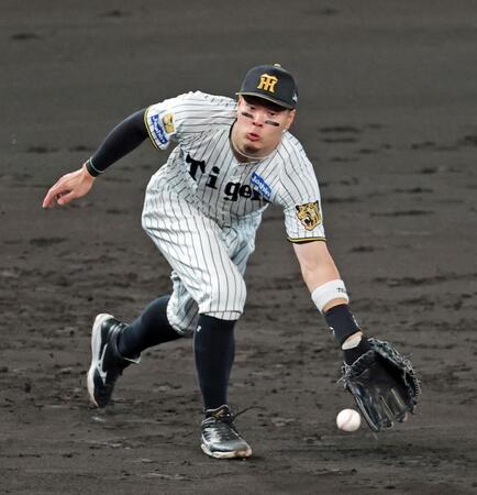 ５回表ヤクルト１死、ヤクルト・岩田幸宏の打球をさばく三塁手・阪神・佐藤輝明＝甲子園（撮影・立川洋一郎）