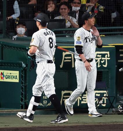 ８回、佐藤輝は空振り三振に倒れベンチに戻る（撮影・山口登）