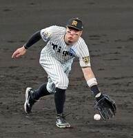 ５回表ヤクルト１死、ヤクルト・岩田幸宏の打球をさばく三塁手・阪神・佐藤輝明＝甲子園（撮影・立川洋一郎）