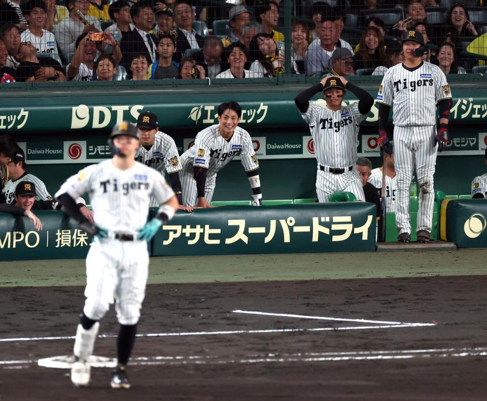 ６回、佐藤輝が右飛に倒れベンチの森下（右から２人目）は頭を抱える（撮影・山口登）
