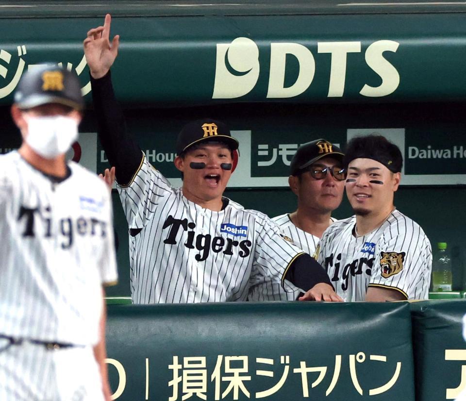 ５回、梅野が右前打を放ちベンチで喜ぶ森下と佐藤輝（撮影・山口登）