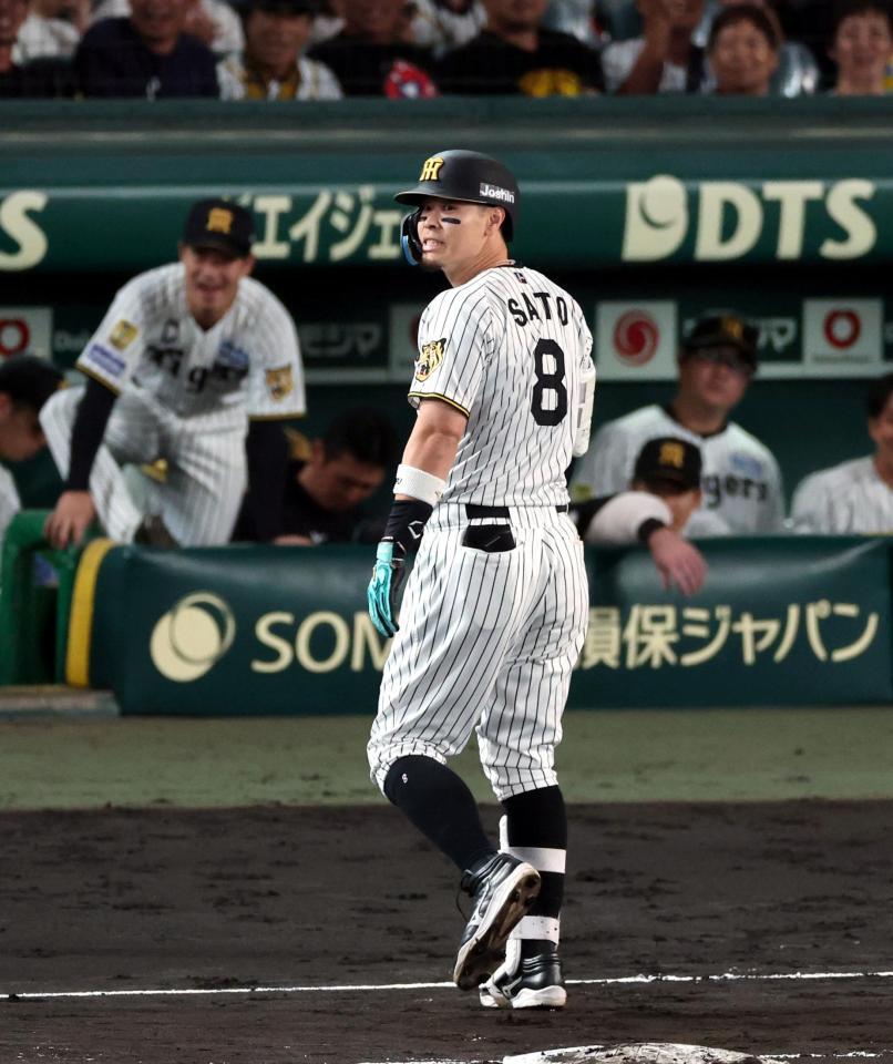 ６回、右飛に倒れる佐藤輝（撮影・山口登）
