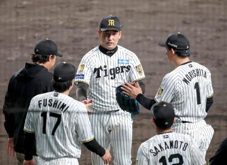 ８回表に登板しヤクルト・茂木栄五郎を左飛に打ち取って交代。ナインに迎えられタッチを交わす阪神・岩崎優＝甲子園（撮影・立川洋一郎）
